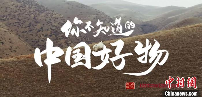 《你不知道的中国好物》。片方供图