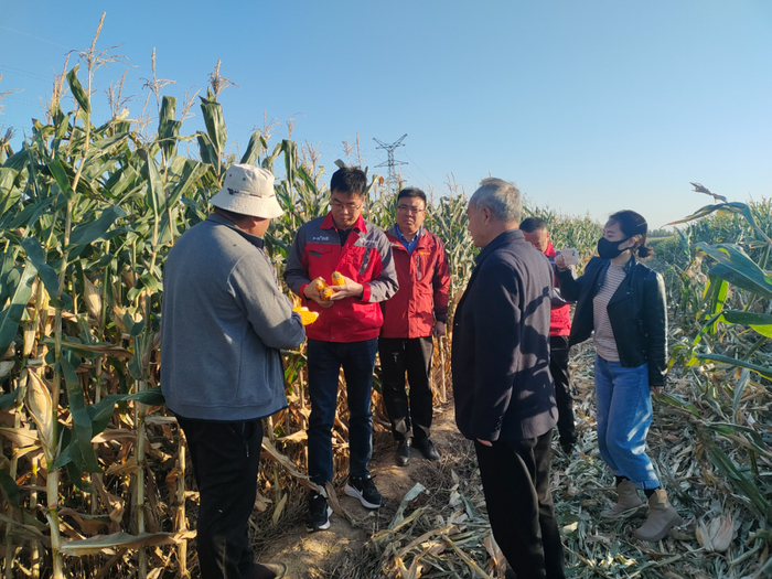 中和农信一站式服务中，中和农信技术专家和农户在一起查看玉米长势。