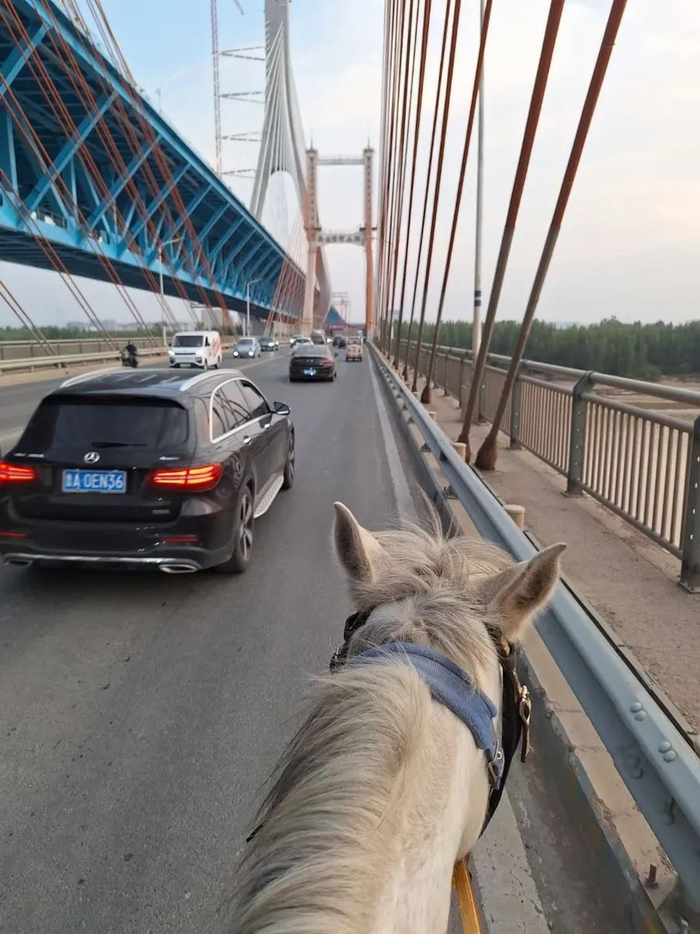 “骑马哥”骑着马过桥。受访者供图