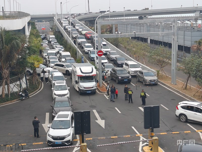 排队过海的汽车(央广网发 李奎廷 摄)