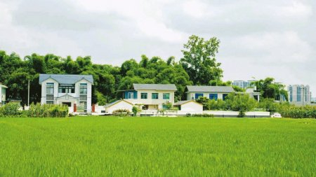青神县新农村。住房城乡建设厅供图