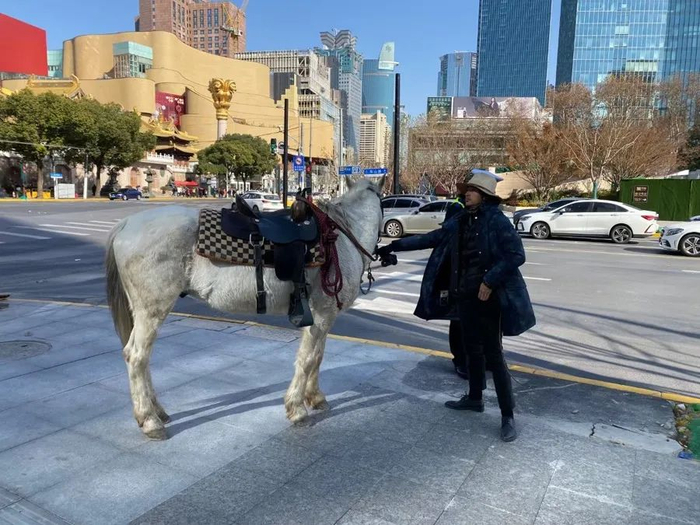 “骑马哥”和马在静安寺附近。受访者供图