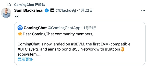 （上图为MOVE语言之父，SUI Network CTO— Sam Blackshea转推）