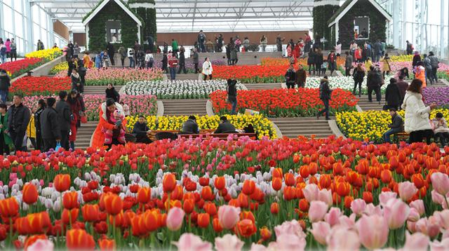 图源：花舞人间景区