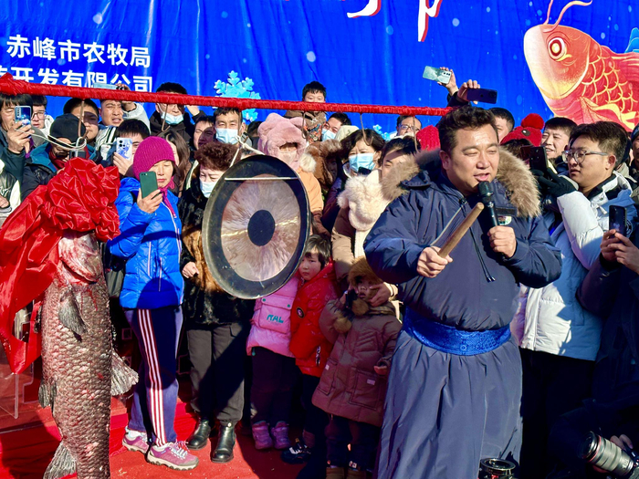 头鱼拍卖