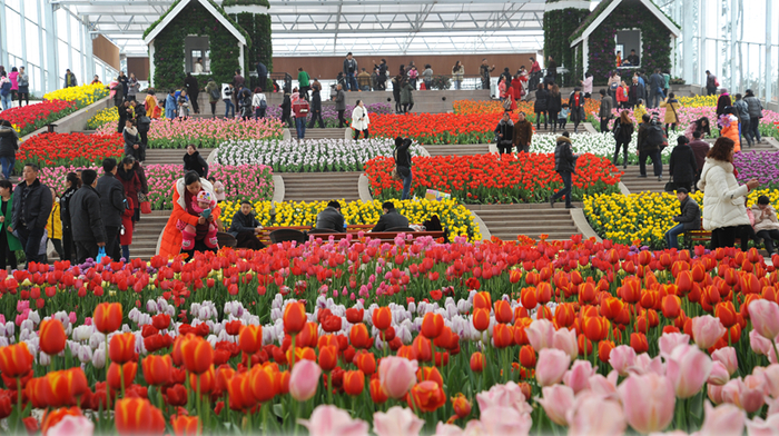 图源：花舞人间景区