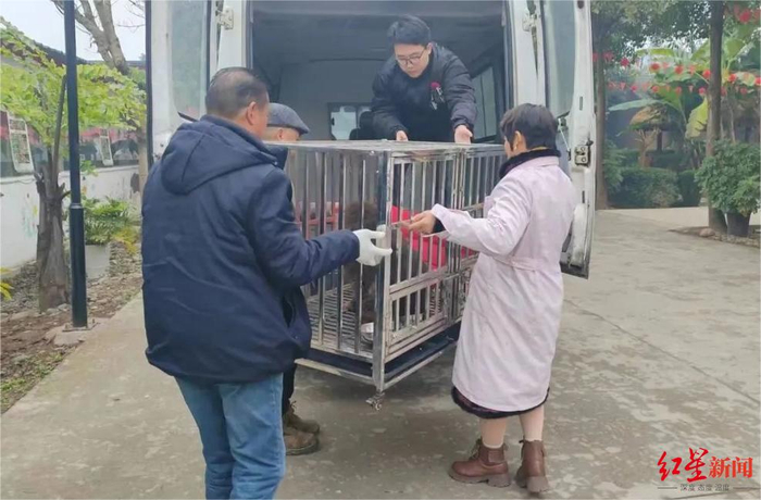 ▲多部门和机构参与救助