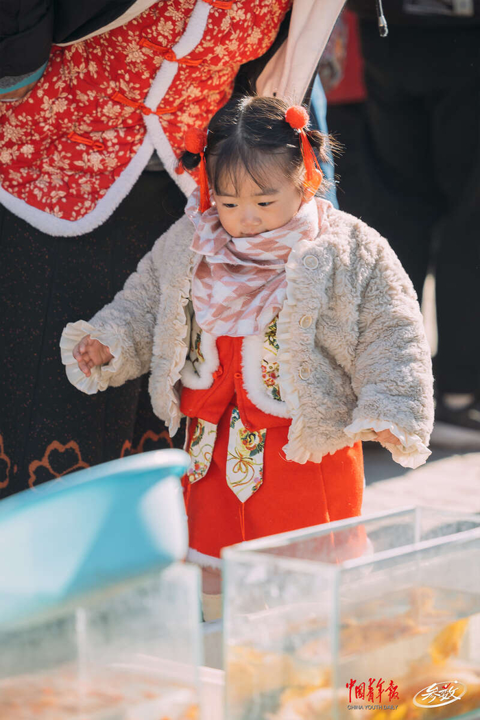 北京沙河大集，一名扎着两个发髻的小女孩正目不转睛地盯着鱼缸里的观赏鱼。 中青在线记者 白杨/摄