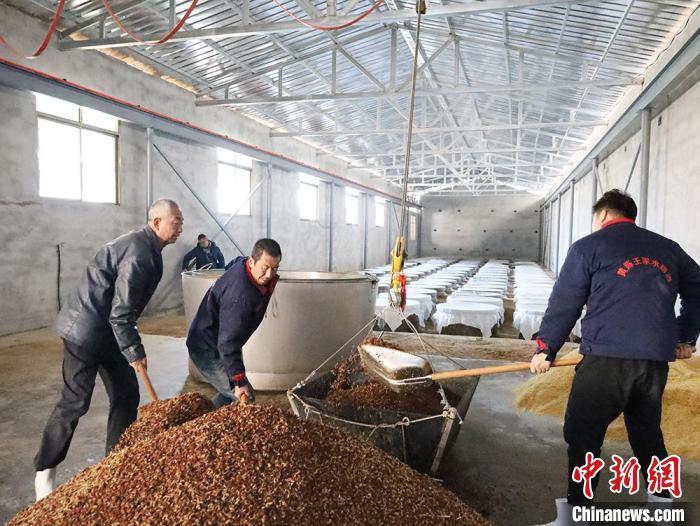 1月27日，在黄陈民俗体验园里，工人们在酿造水烧酒。　　　　　刘建军 摄