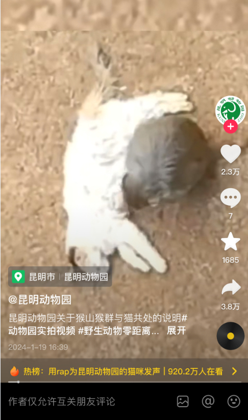 ▲昆明动物园抖音账号所发视频截图