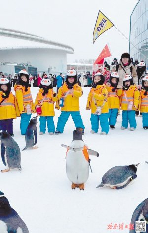 　　广西小朋友来哈研学受到全网关注。本报记者 孙岩摄