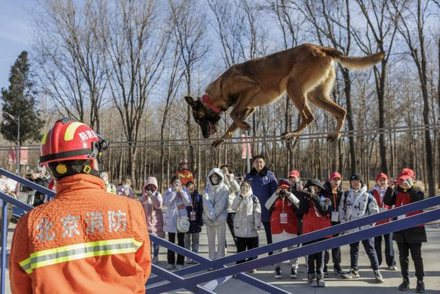 近日，新京报小记者参观反恐特警总队。新京报记者 王子诚 摄
