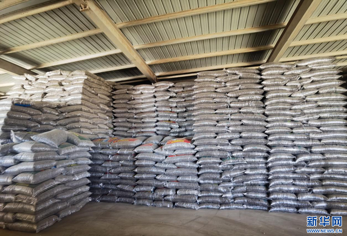  红泥井村粮油交易综合市场葵花籽库房一角。新华网郝芳芳摄