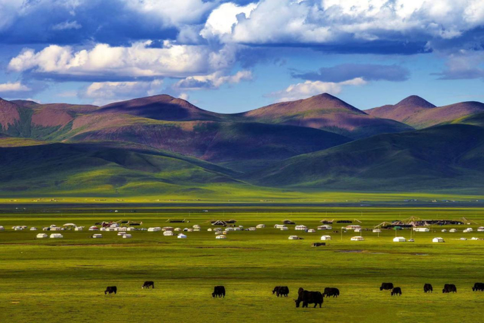 玉树藏族自治州称多县嘉塘草原.称多县委宣传部供图