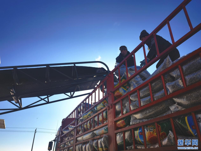 1月26日，内蒙古包头市固阳县红泥井村粮油交易综合市场内，工人们正在装配葵花籽。新华网郝芳芳摄