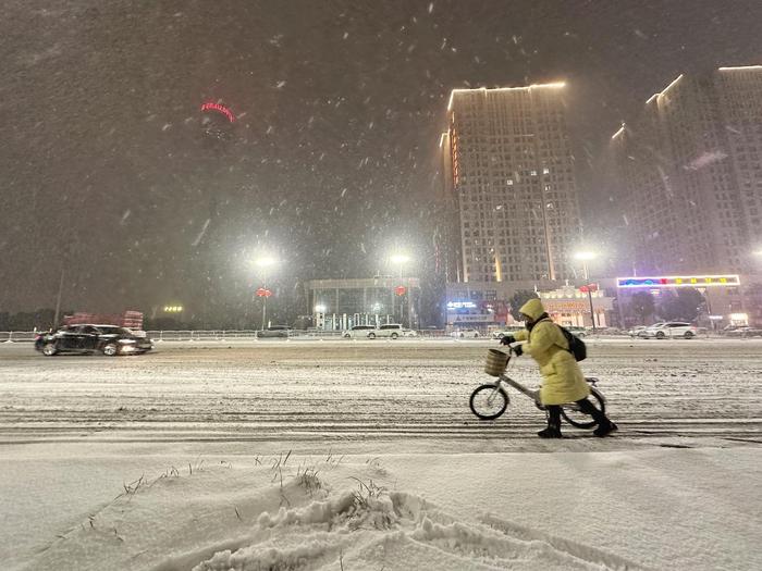 ▲1月31日，郑州市民在雪中推车前行 据视觉中国