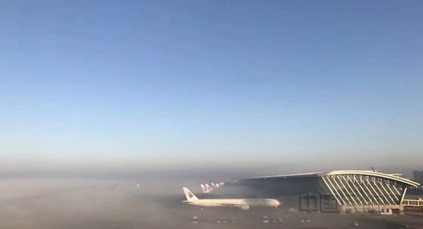 受大雾影响的浦东机场