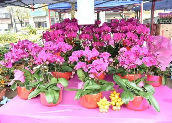 △以上图片均来源 怀集发布