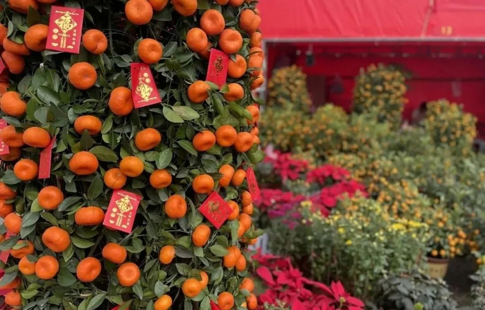 △以上图源 大旺城管蓝