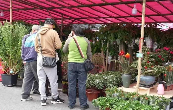 △以上图源 四会发布