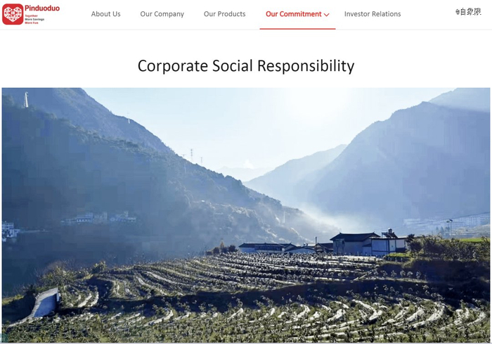 ▲图源：拼多多英文版官网截图