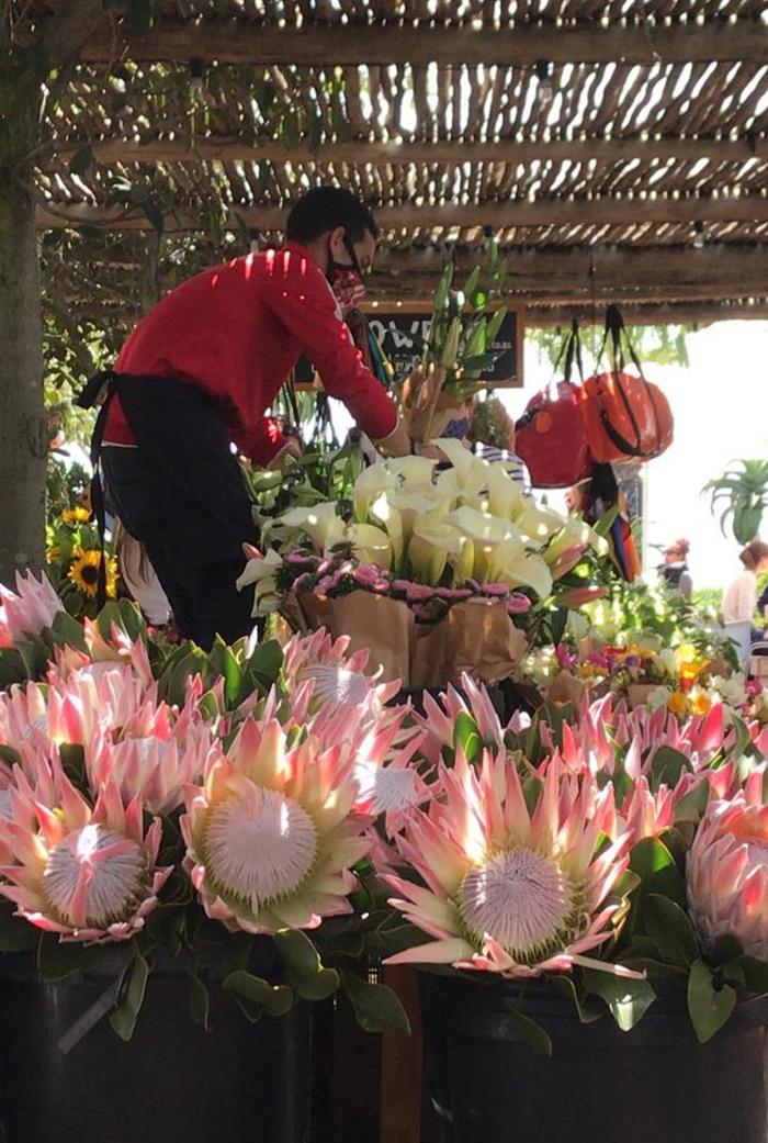 「南非帝王花种植基地」