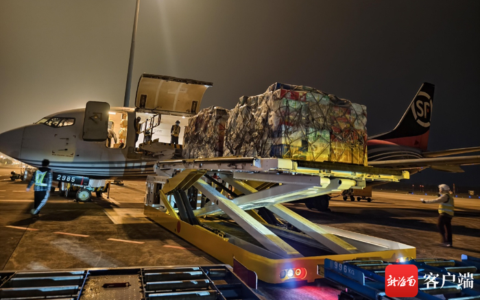 海口美兰机场机坪保障现场。海南机场集团供图