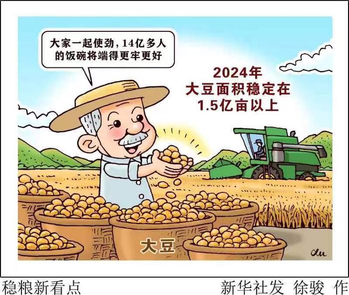 新华鲜报丨中国稳粮新看点！ “金豆豆”1.5亿亩以上