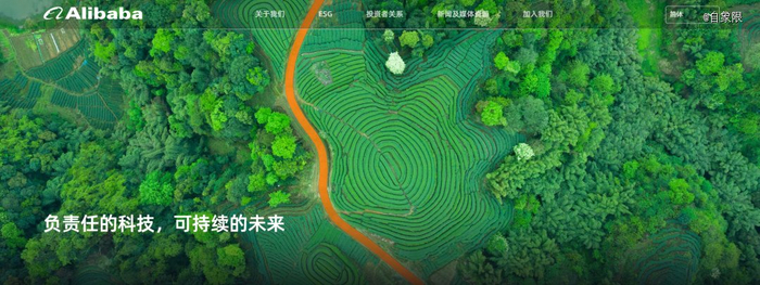 ▲图源：阿里巴巴ESG官网截图