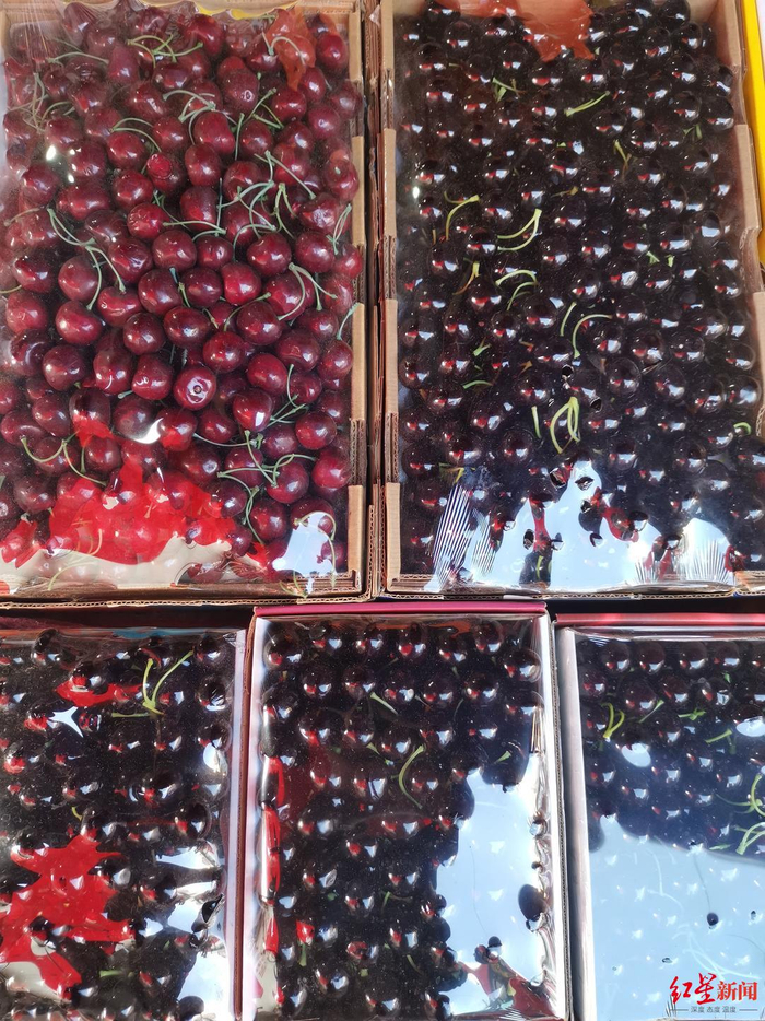 ▲昆明水果市场上售卖的智利车厘子。