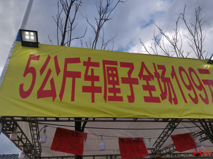 ▲昆明金马正昌果品市场上的车厘子售卖广告。