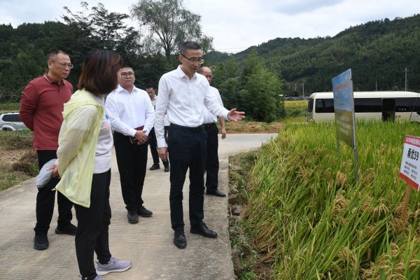洋里乡五星水稻种植基地