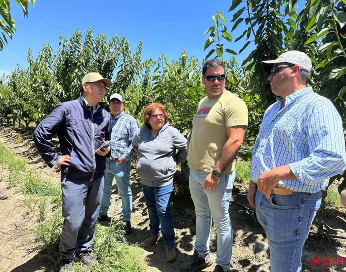 ▲张才喜（左一）在智利种植园考察