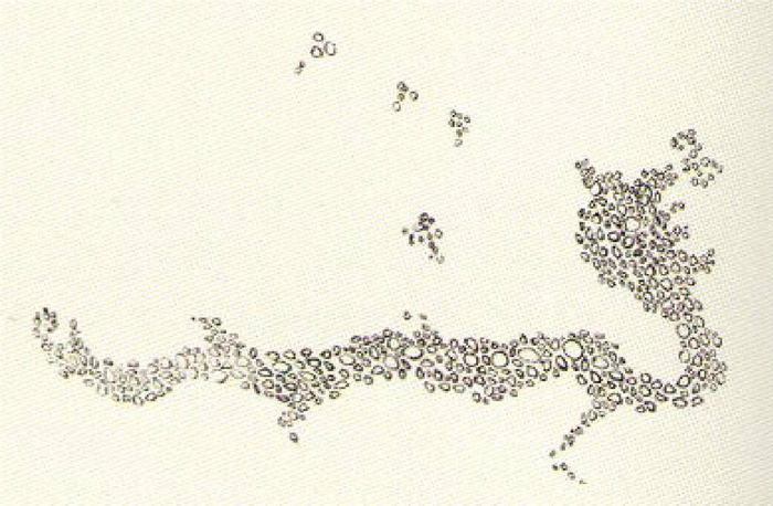 湖北黄梅焦墩卵石摆塑龙线图（湖北省博物馆供图）