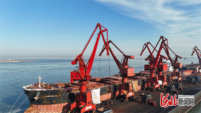 1月30日,黄骅港综合港区散货码头,正在进行货物卸载作业.