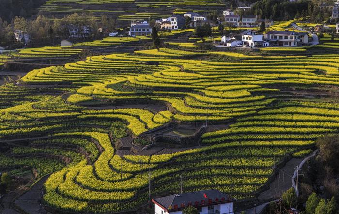 安康凤堰古梯田景区图片