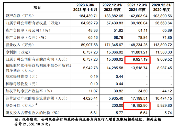 大明电子招股书上会稿