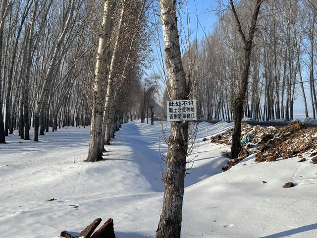 嫌疑人供述的分尸地悬挂着标识，禁止在此取土或开荒种地。摄影/上游新闻记者 张莹