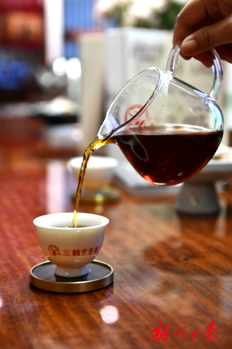 “三鹤”六堡茶  何鎏  摄