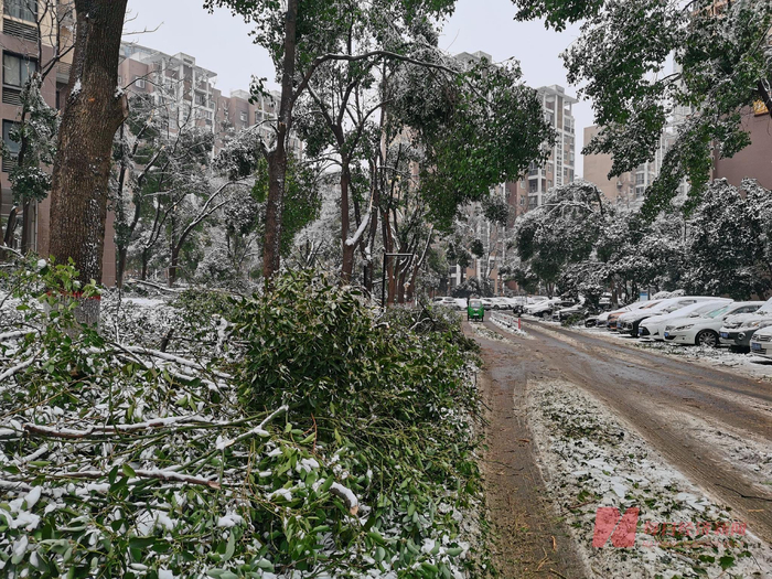 图片来源：每经记者 陈晴 摄