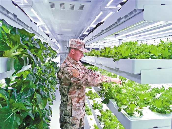 昆木加哨所的植物工厂。　刘煜钦　摄