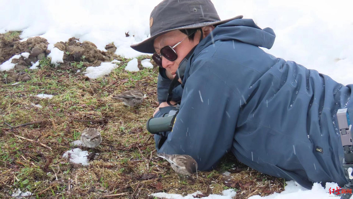 ▲阙品甲和高山岭雀