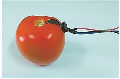 图片来源：佩雷拉/《生物材料进展》