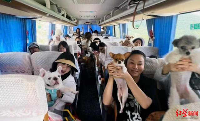▲有旅行社提供“宠物旅行团”服务 资料配图