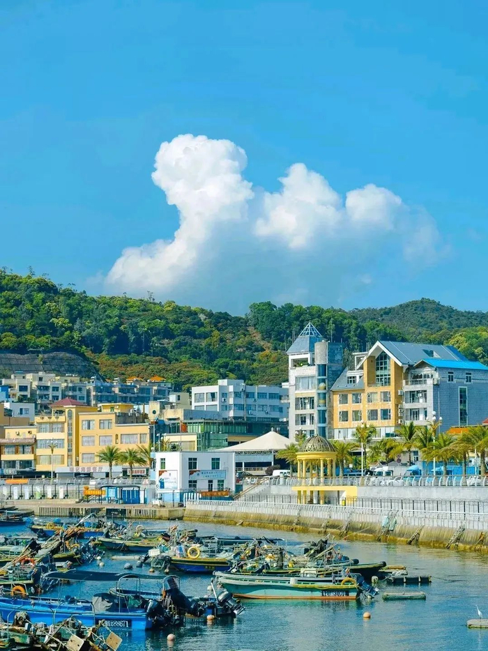 图源：美丽深圳微信公众号