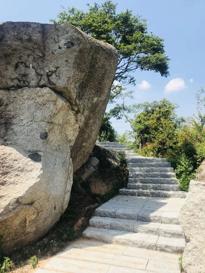 图源：美丽深圳微信公众号