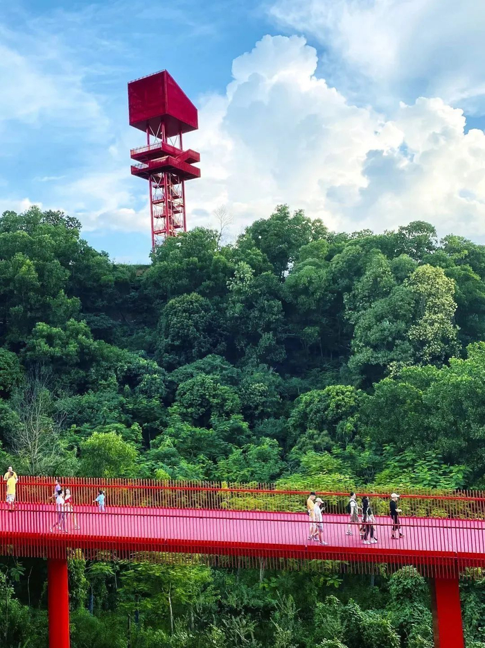 图源：美丽深圳微信公众号