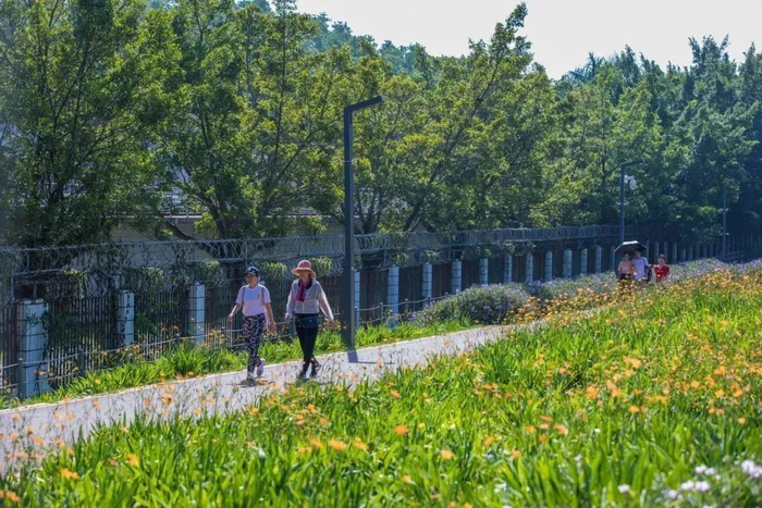 图源：深圳城管微信公众号