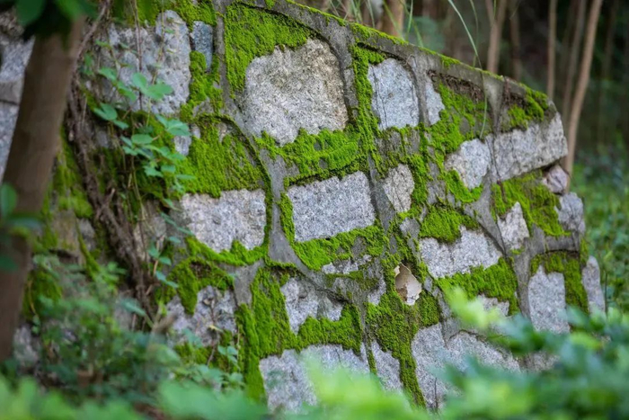 图源：深圳城管微信公众号