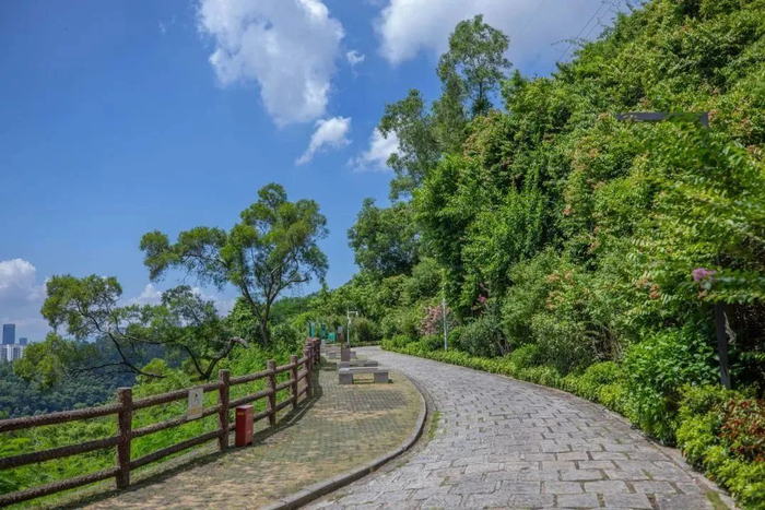 图源：深圳城管微信公众号